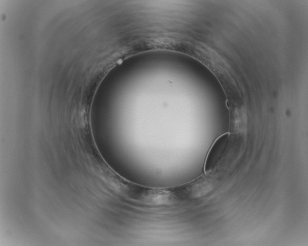 X0000088590514200705251152