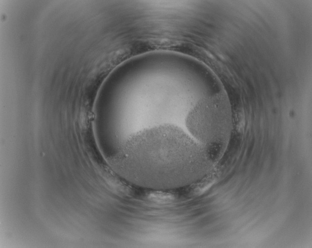 X0000088590515200705251152