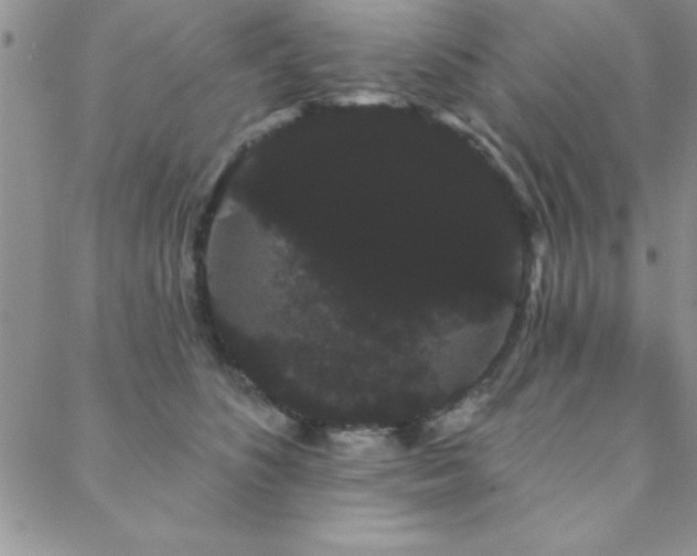 X0000088590516200705251152