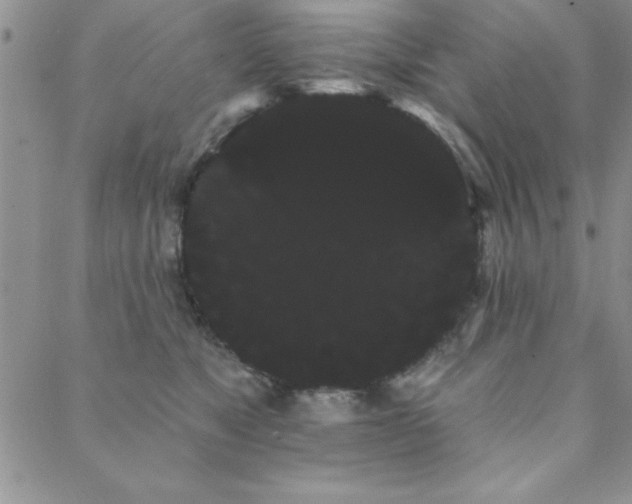 X0000088590517200705251152