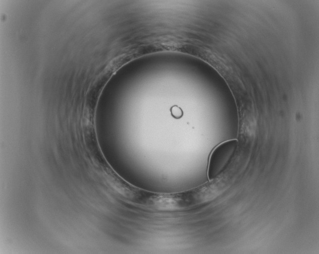 X0000088590518200705251152