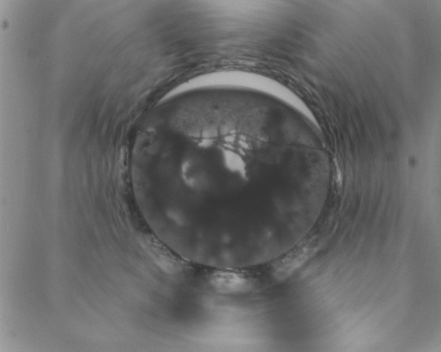 X0000088590519200705251152