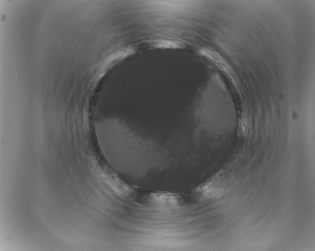 X0000088590520200705251152