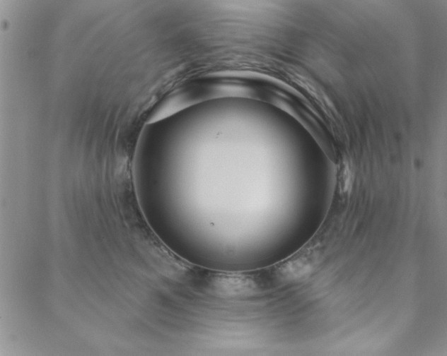 X0000088590521200705251152