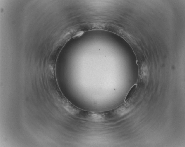 X0000088590522200705251152