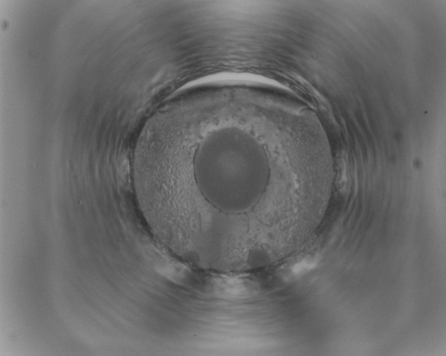 X0000088590523200705251152