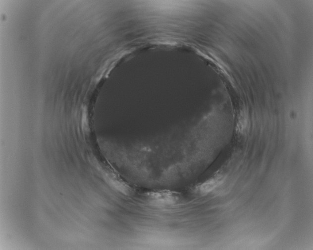 X0000088590524200705251152