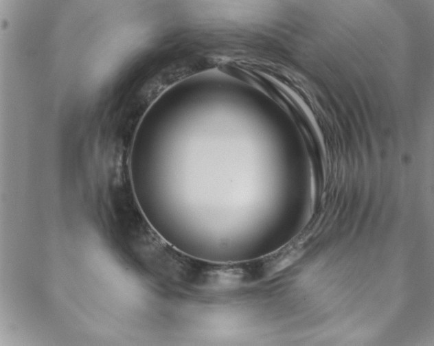 X0000088590525200705251152