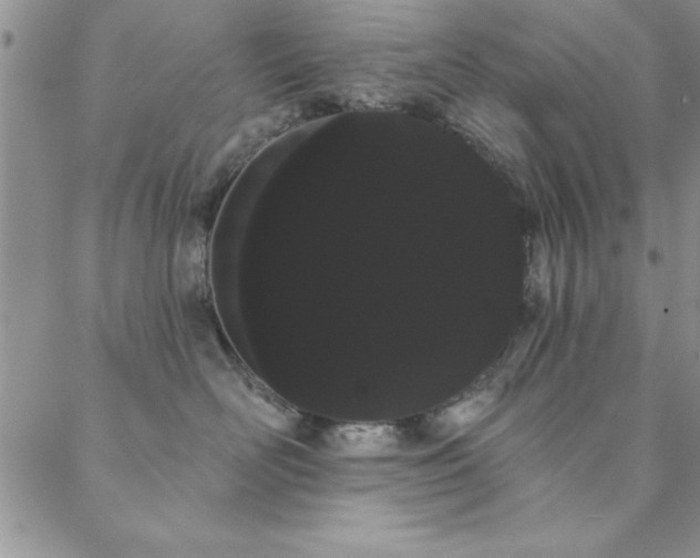 X0000088590526200705251152