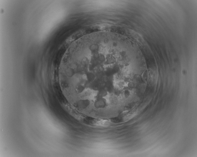 X0000088590527200705251152