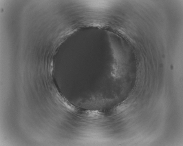 X0000088590528200705251152