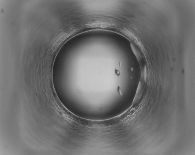 X0000088590529200705251151