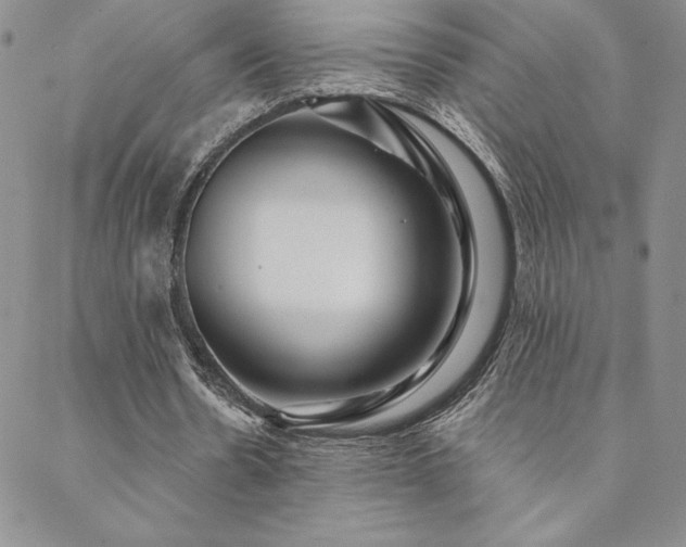 X0000088590530200705251151