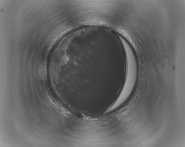 X0000088590531200705251151