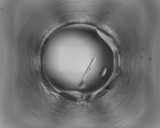 X0000088590532200705251151