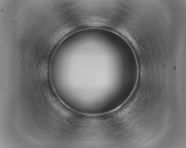 X0000088590533200705251151