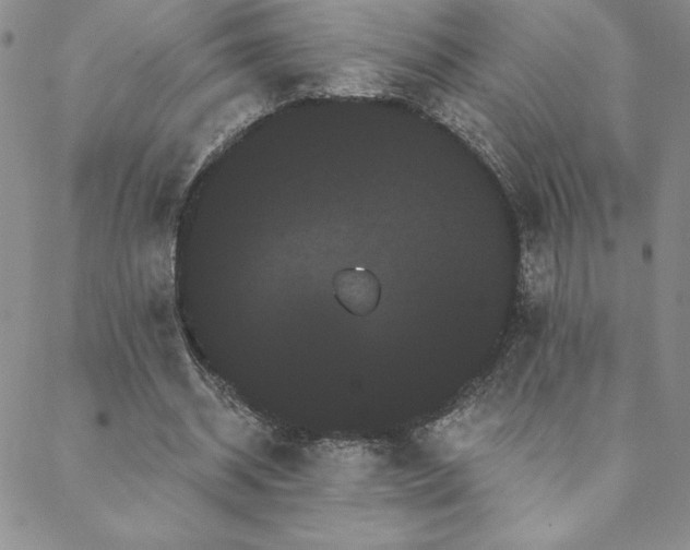 X0000088590534200705251151