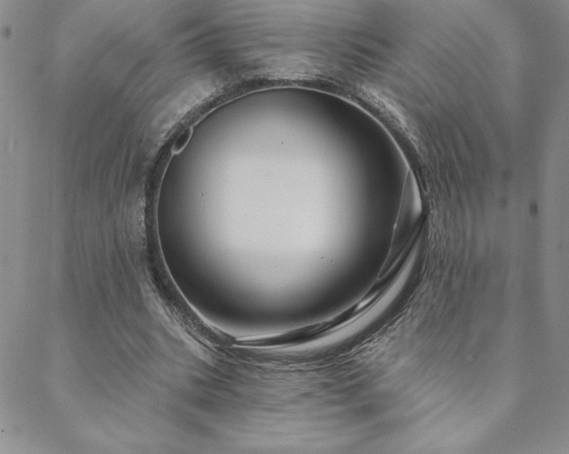 X0000088590535200705251151