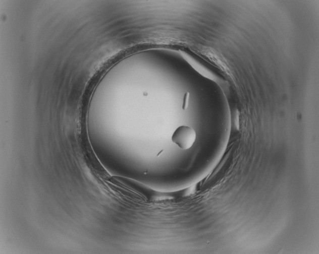 X0000088590536200705251151