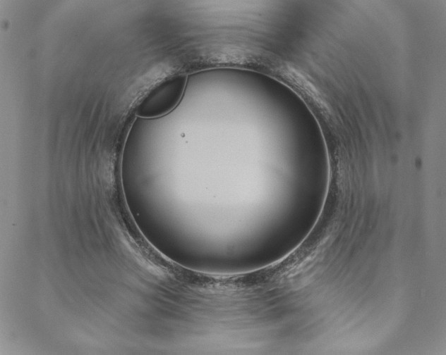 X0000088590537200705251151