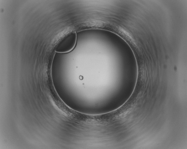 X0000088590538200705251151