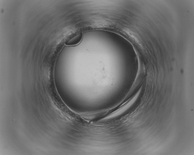 X0000088590539200705251151