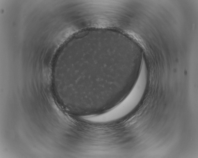 X0000088590540200705251152