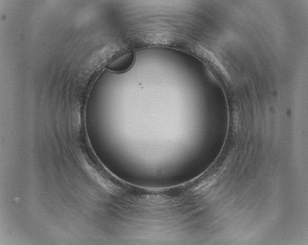 X0000088590541200705251152