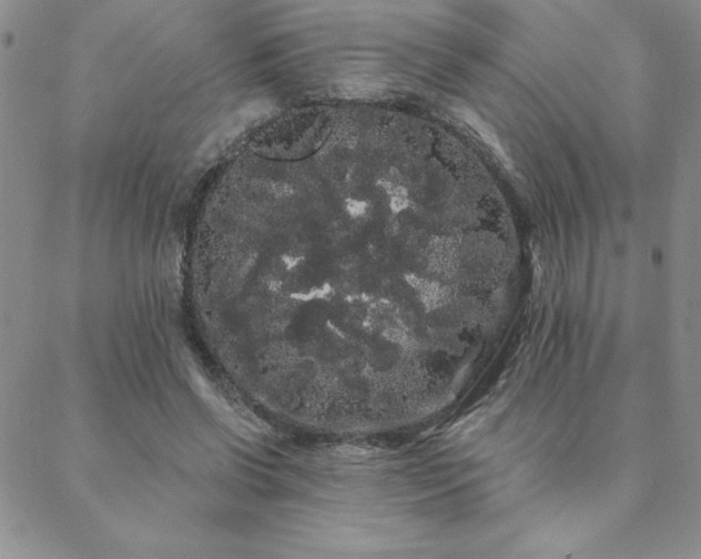 X0000088590542200705251152