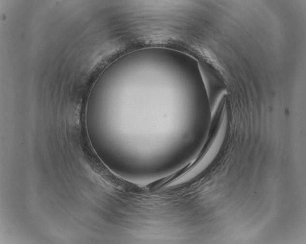 X0000088590543200705251152