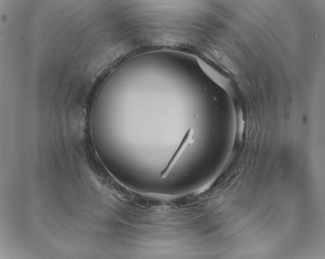 X0000088590544200705251152