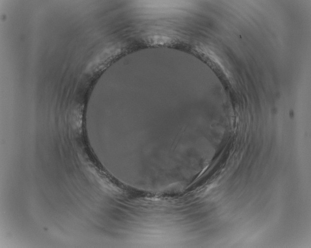 X0000088590545200705251152