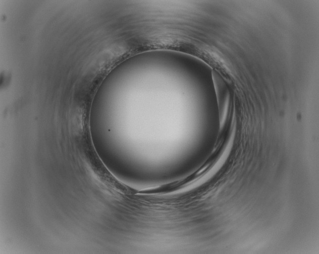 X0000088590546200705251152