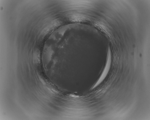 X0000088590547200705251152