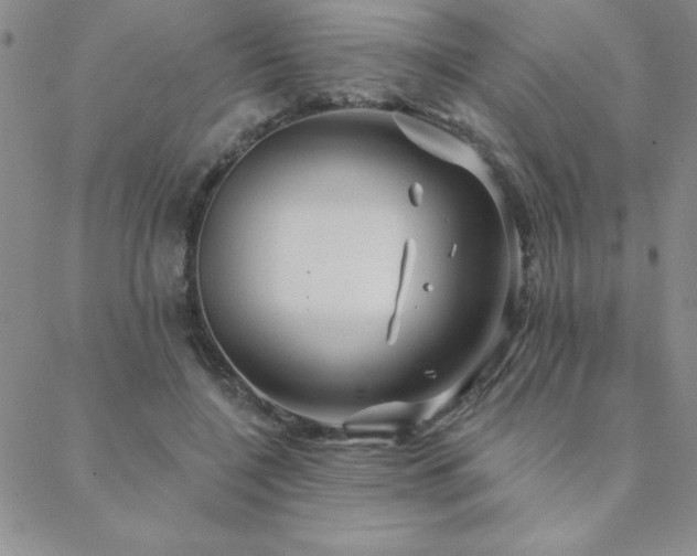 X0000088590548200705251152