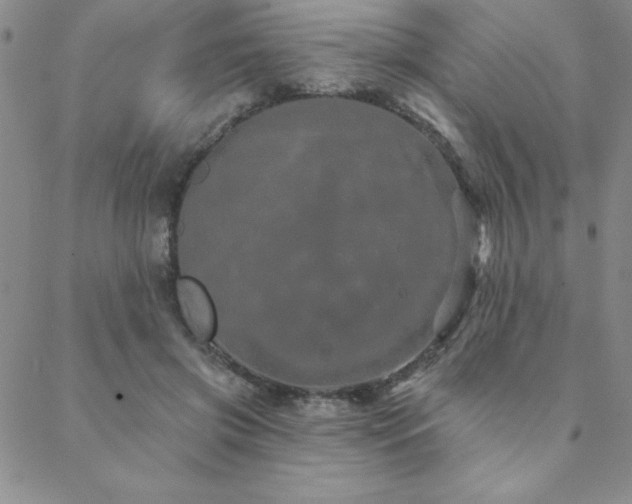 X0000088590549200705251152