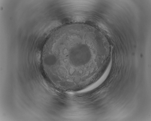 X0000088590550200705251152