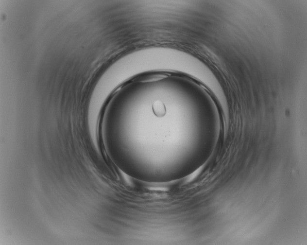 X0000088590552200705251152