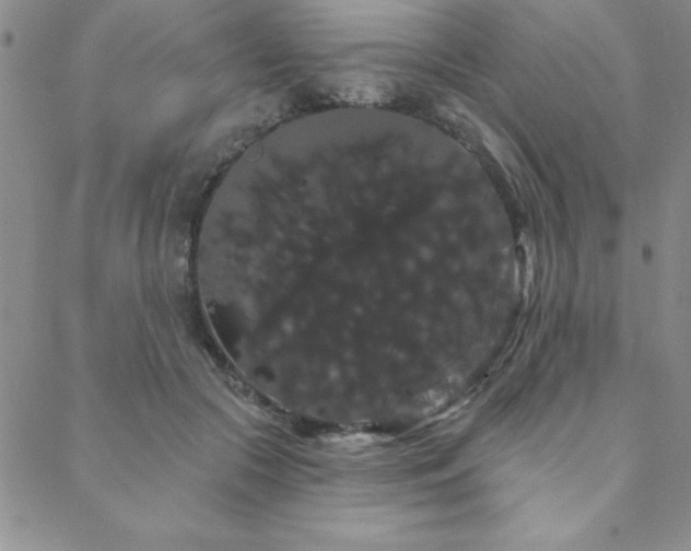 X0000088590553200705251152