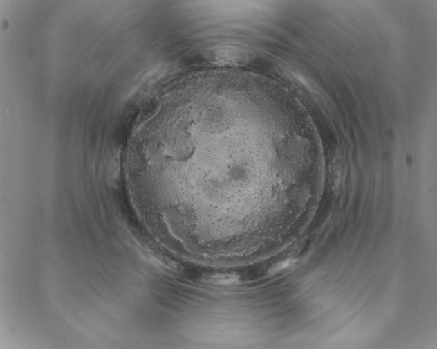 X0000088590554200705251152