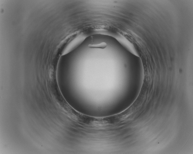 X0000088590556200705251152