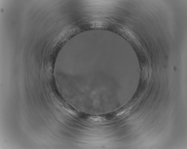 X0000088590557200705251152