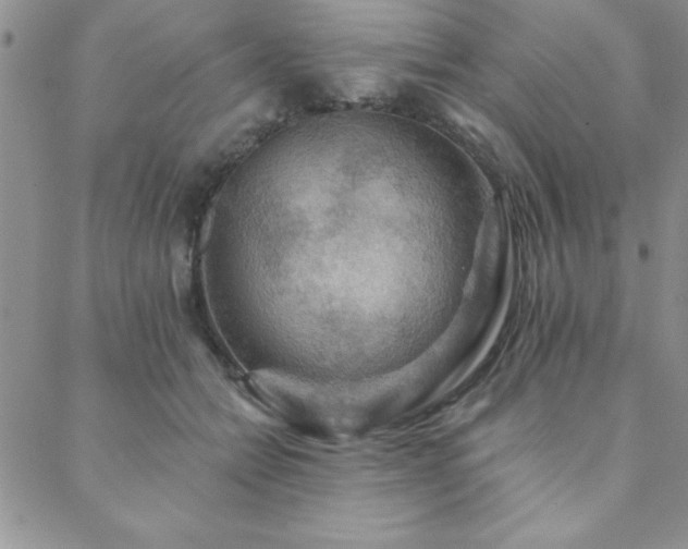 X0000088590558200705251152