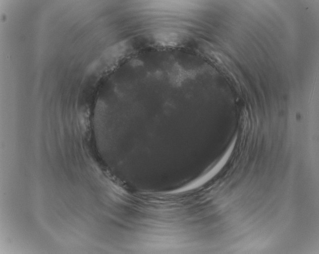 X0000088590559200705251152