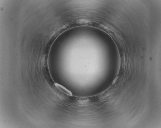 X0000088590560200705251152