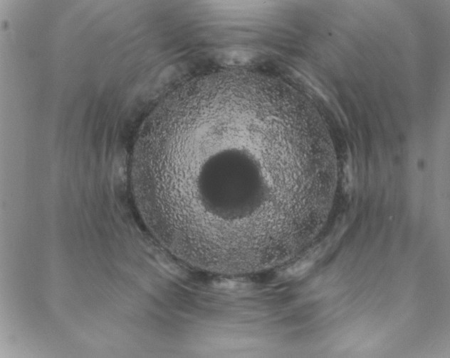 X0000088590561200705251152