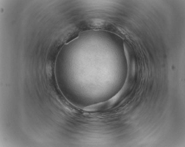 X0000088590562200705251152