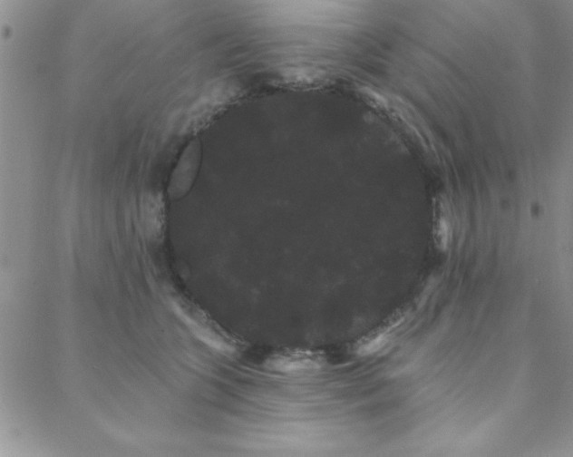 X0000088590563200705251152