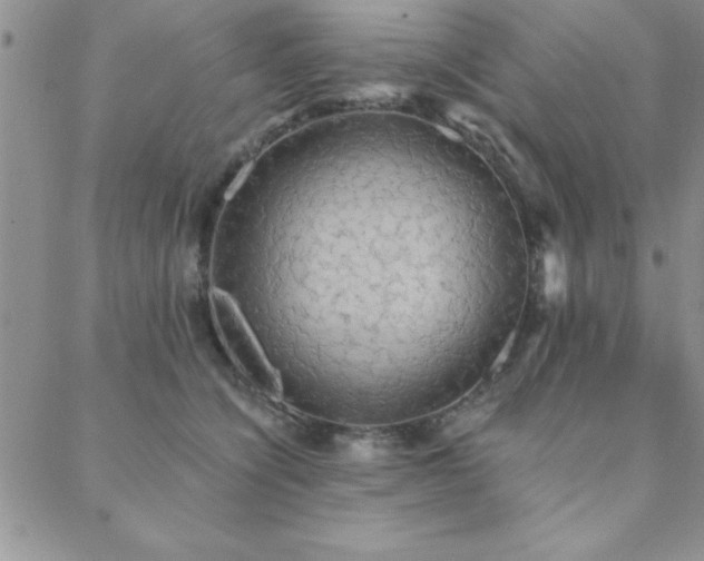 X0000088590564200705251152