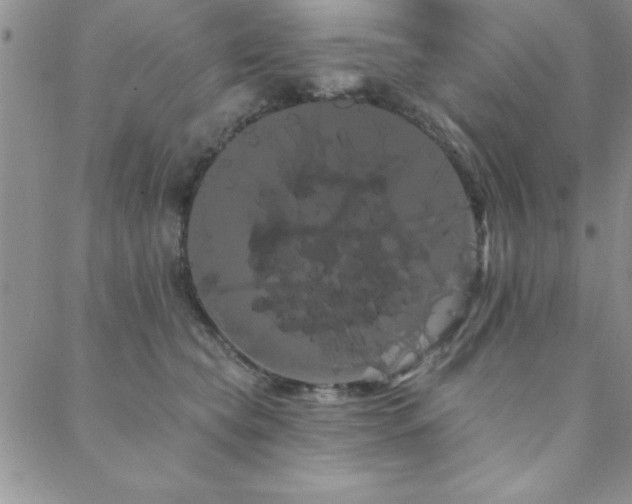 X0000088590565200705251152